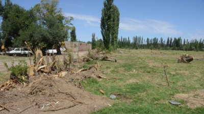 La urbanización devora las últimas chacras del oeste neuquino