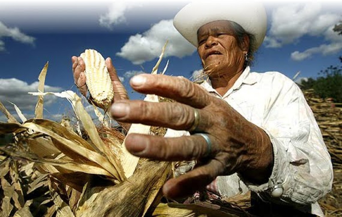 Sin lugar para los pequeños
