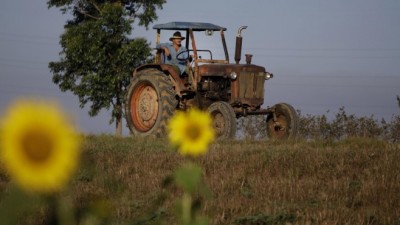 Estados Unidos autorizó la apertura de la primera fábrica en Cuba desde 1959
