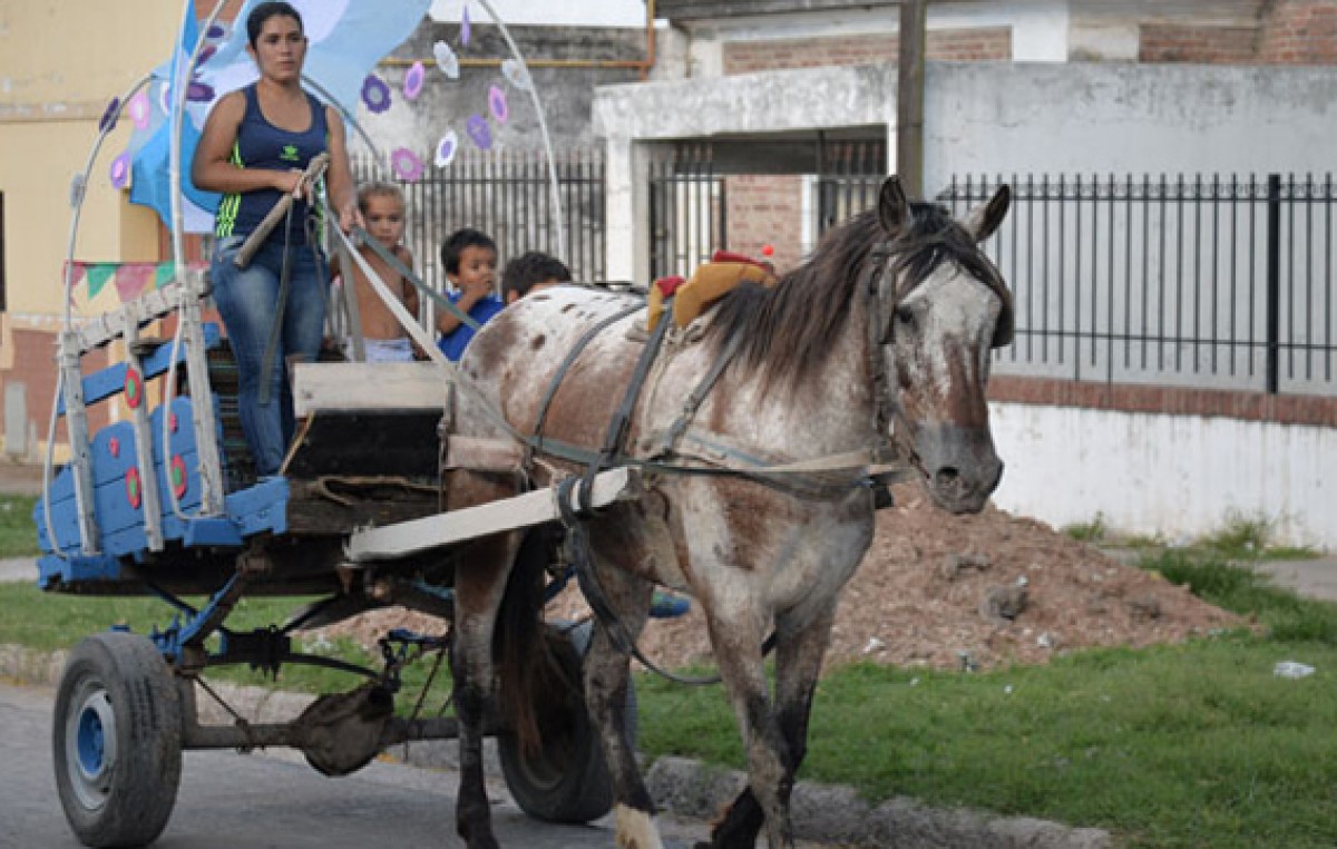 Quieren erradicar los carros traccionados por caballos en Paraná