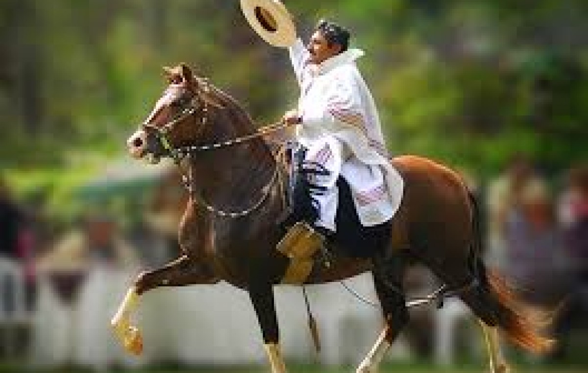 III Concurso de Caballos Peruanos de Paso en San José de Metán-Salta