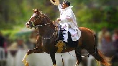 III Concurso de Caballos Peruanos de Paso en San José de Metán-Salta