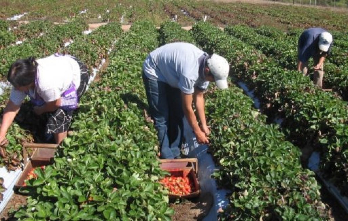 Avanza un proyecto para el desarrollo de unas 10 mil familias de pequeños agricultores y pueblos originarios