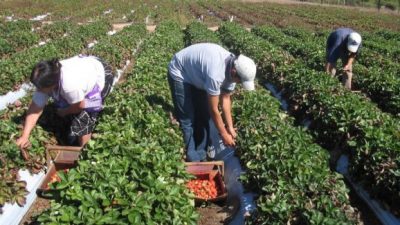 Avanza un proyecto para el desarrollo de unas 10 mil familias de pequeños agricultores y pueblos originarios