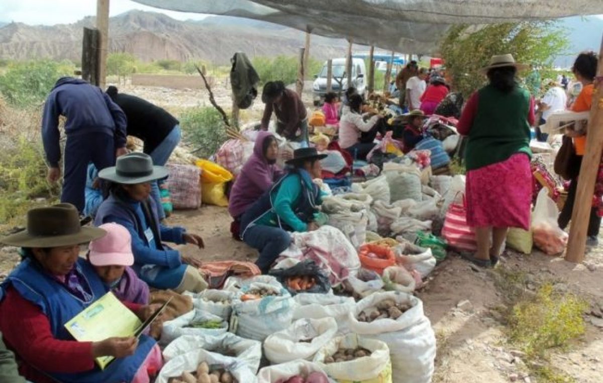 Día internacional de la lucha campesina. Jornadas nacionales