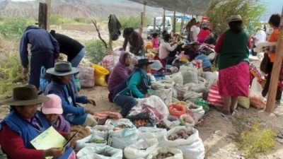 Día internacional de la lucha campesina. Jornadas nacionales