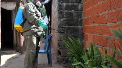 En cinco zonas de Rosario la situación por la presencia del dengue ya es «muy crítica»