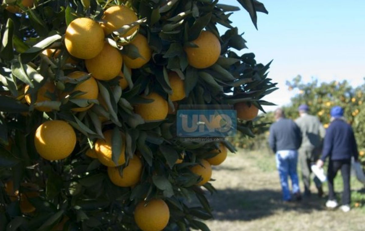 El consumidor pagó 5,6 veces más en marzo que lo que recibió el productor