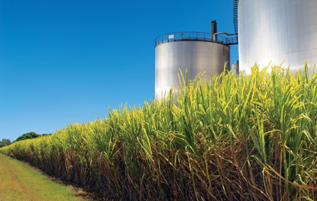 Impulsan la creación de 60 plantas para generar bioenergía en el sur cordobés