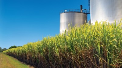 Impulsan la creación de 60 plantas para generar bioenergía en el sur cordobés