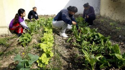 Rosario: Inflación y conciencia ecológica impulsan las huertas en hogares