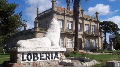 Lobería: aumento del 11% a municipales