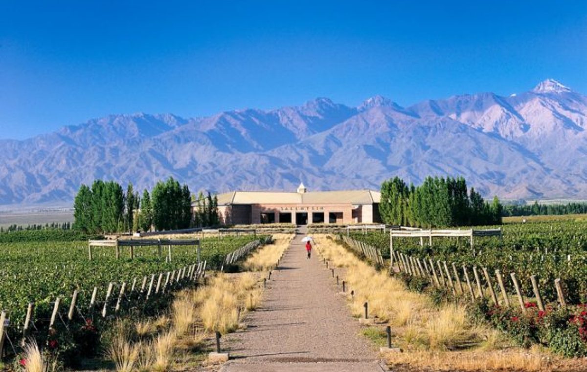 Anunciaron que se creará la “Ruta del Vino” en Chubut