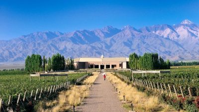 Anunciaron que se creará la “Ruta del Vino” en Chubut