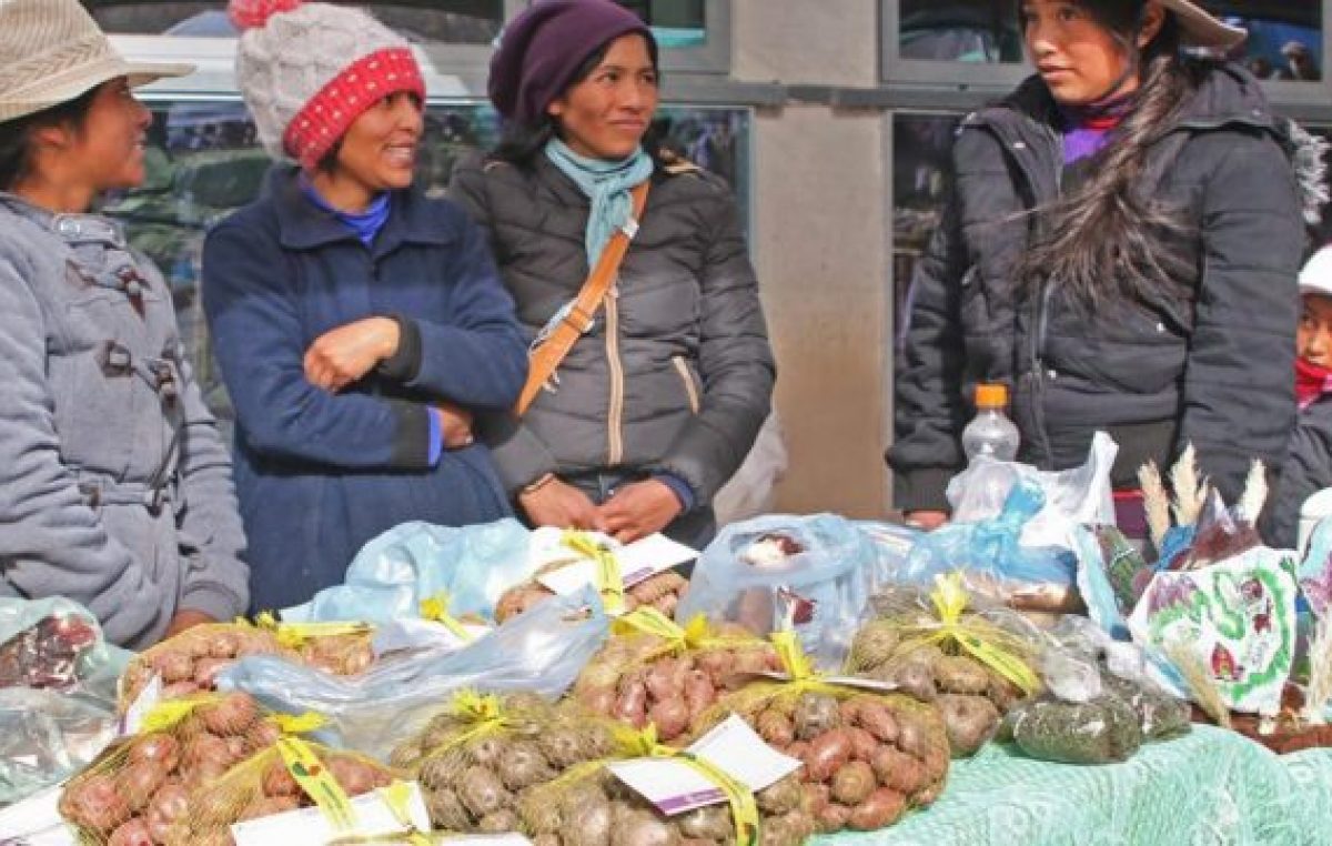 La sequía afectó a los pequeños productores en Quebrada del Toro