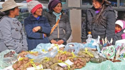 La sequía afectó a los pequeños productores en Quebrada del Toro