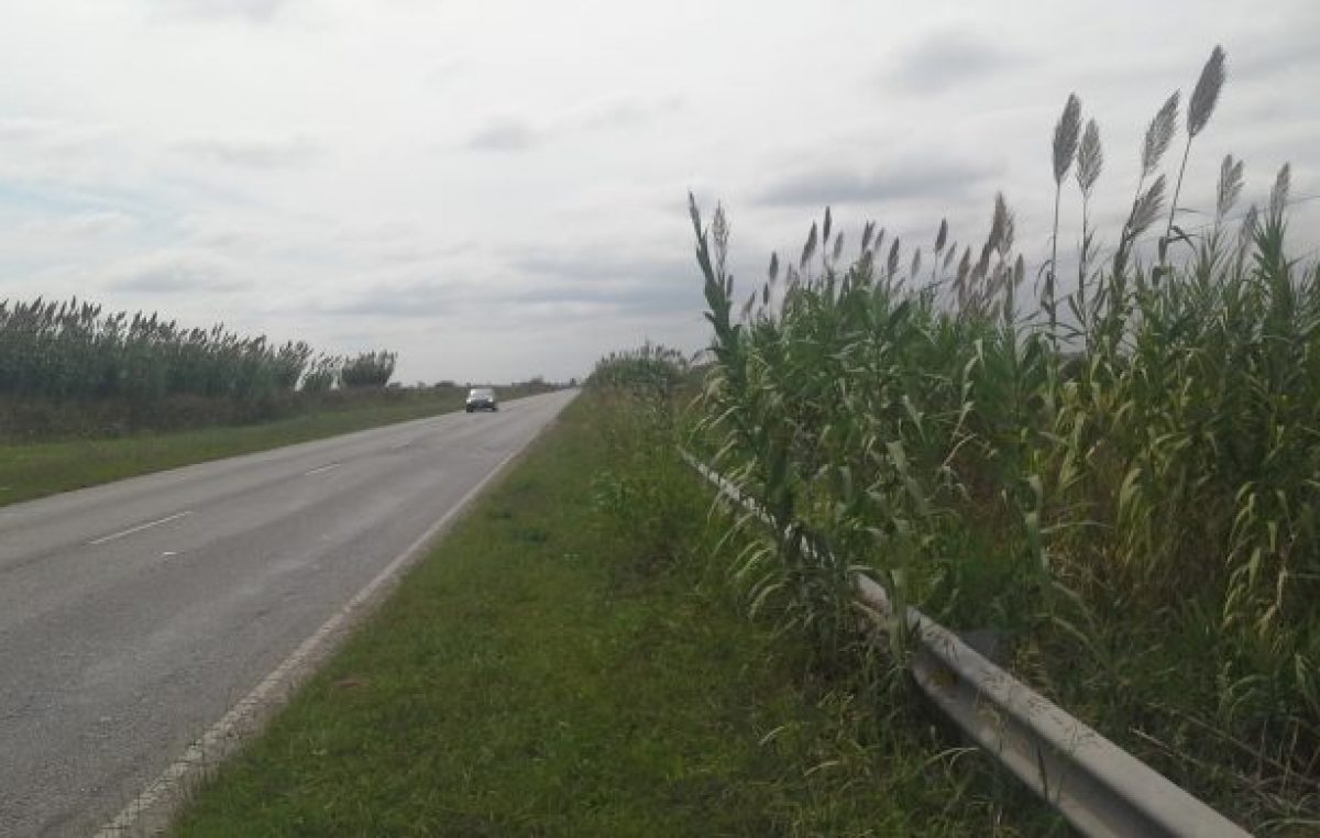 Millonaria inversión para la ruta 93 en el tramo que une Firmat con Melincué