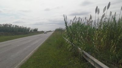Millonaria inversión para la ruta 93 en el tramo que une Firmat con Melincué