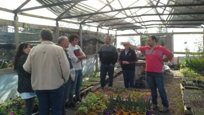 Crearán una red regional de viveros cooperativos en Casilda, Sanford y Chabás
