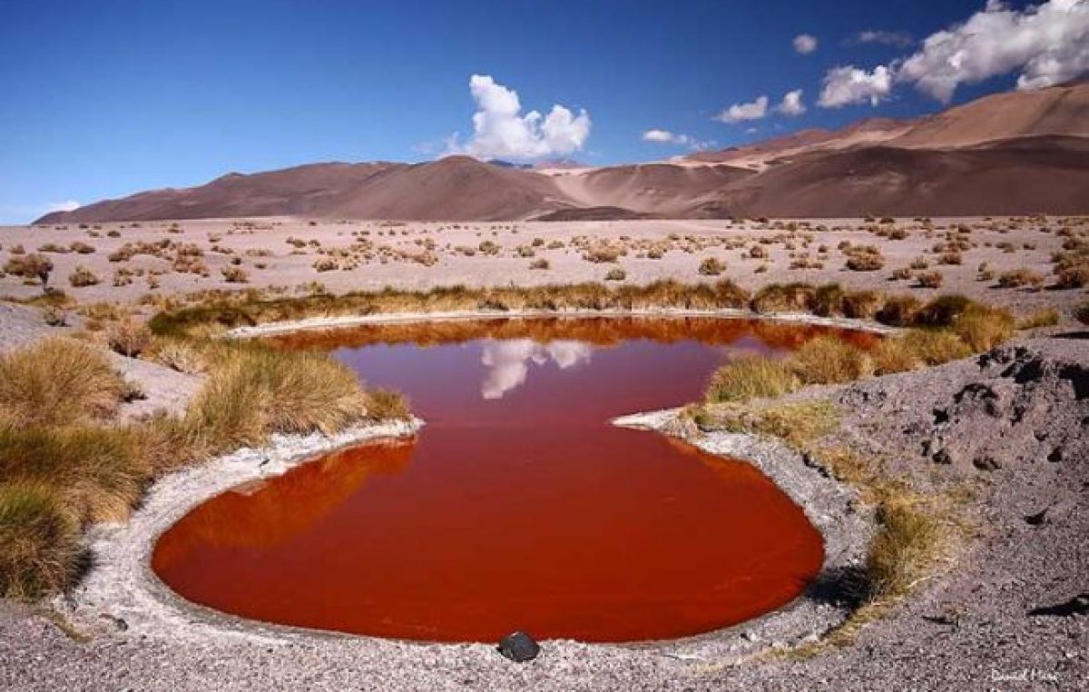 Los mágicos salares de Argentina