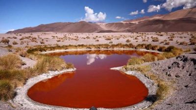 Los mágicos salares de Argentina