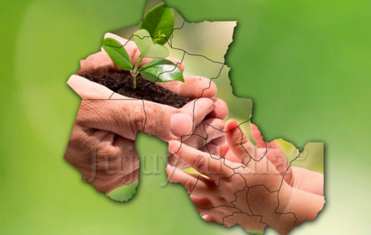 Avanza la construcción de alianzas y acuerdos para abordar el Cambio Climático en Jujuy