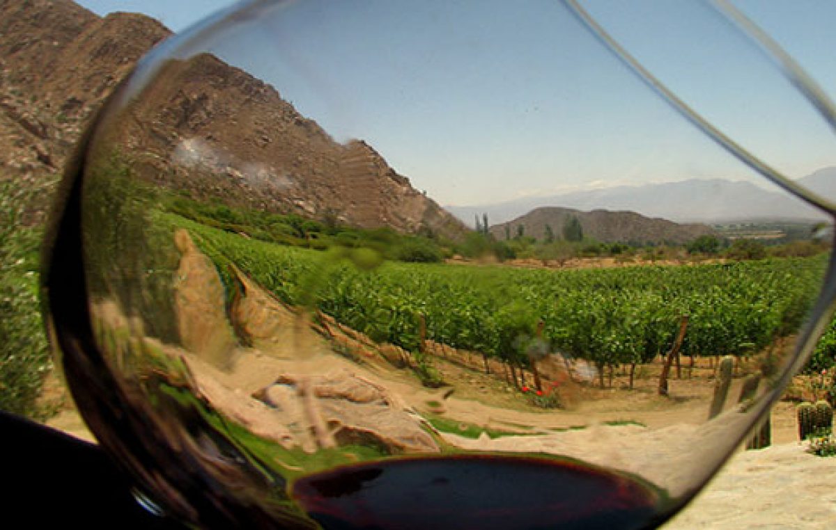 Siete días de vino y de rosas
