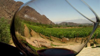 Siete días de vino y de rosas