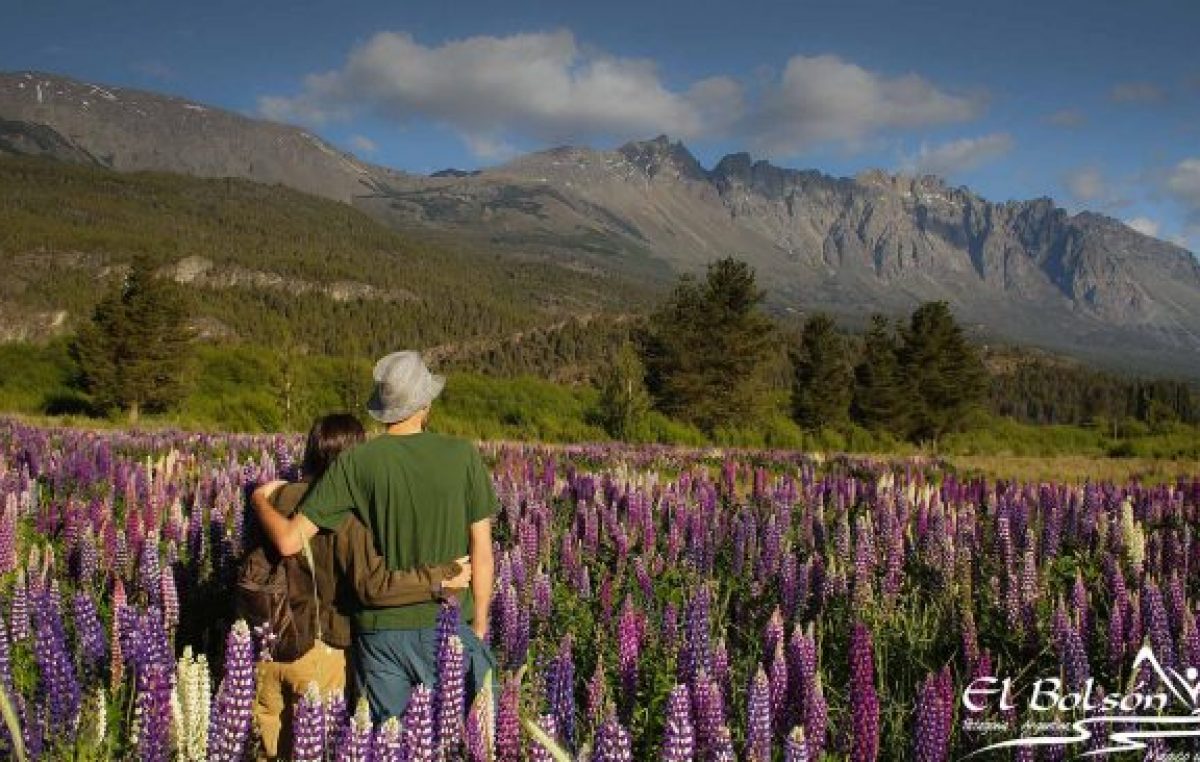 Quieren declarar capital de la cerveza artesanal a las ciudades de Bariloche y El Bolsón