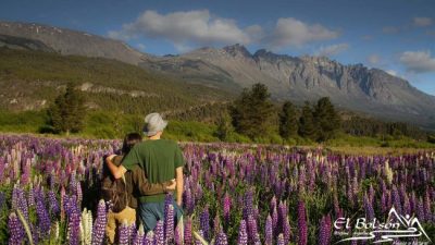 Quieren declarar capital de la cerveza artesanal a las ciudades de Bariloche y El Bolsón
