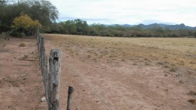 Jujuy: Grave sequía afecta a los productores puneños