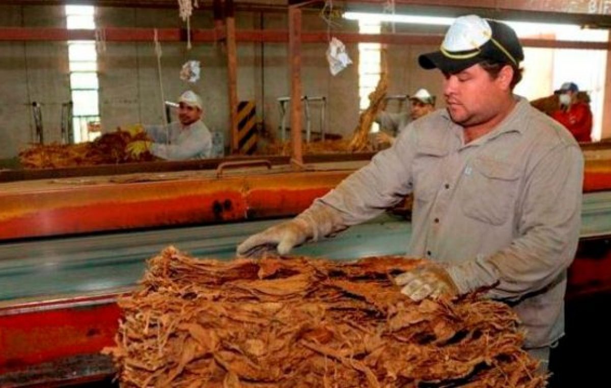 Industria tabacalera: más de 3.600 puestos de trabajo corren riesgo por el impuestazo