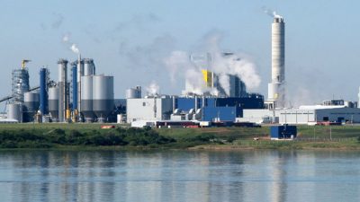 Uruguay planifica instalar una tercera gran pastera