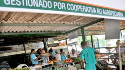 Cooperativas cubanas consiguen importar con el aval del Estado