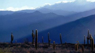Una joya salteña que maravilla al mundo