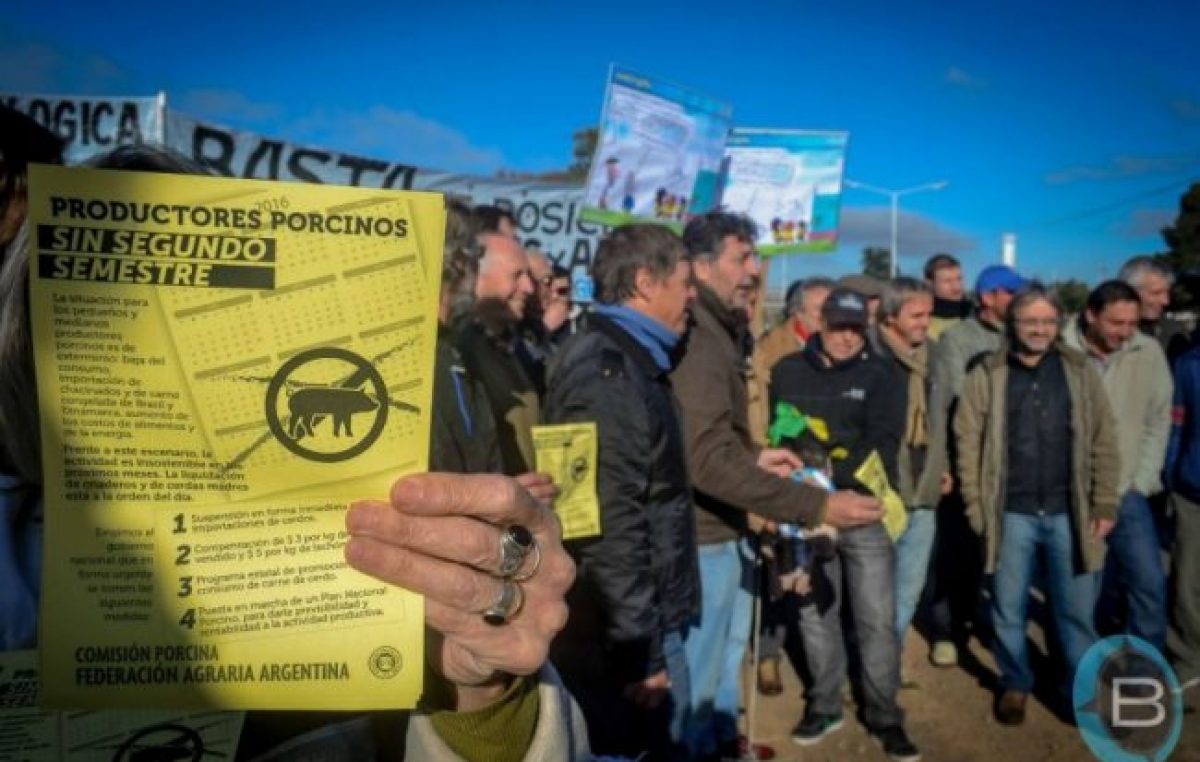 A los productores de cerdos ya no les alcanza ni para comprar maíz