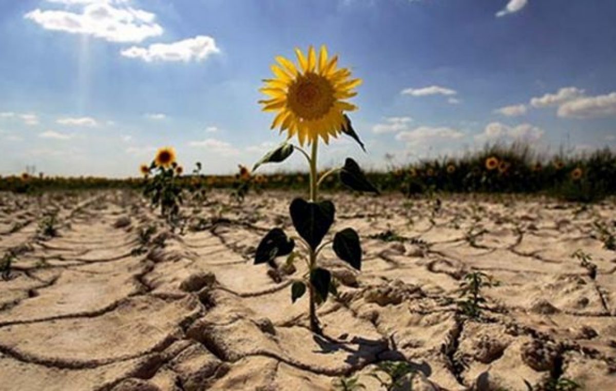 Diamante integrará la Red Argentina de Municipios frente al cambio climático