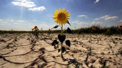 Diamante integrará la Red Argentina de Municipios frente al cambio climático