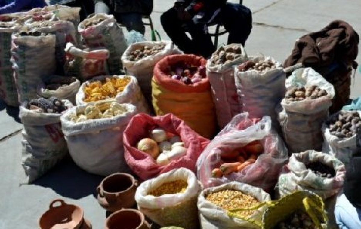 10° Feria de las semillas nativas y criollas, 16 de julio en  Humahuaca
