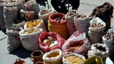 10° Feria de las semillas nativas y criollas, 16 de julio en  Humahuaca