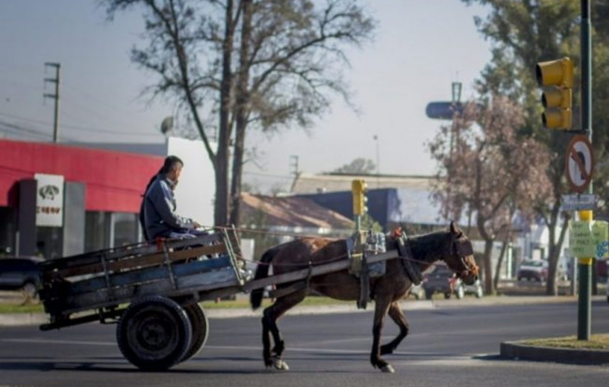 Municipio de Tucumán y Nación buscan resolver la situación de los «carreros»
