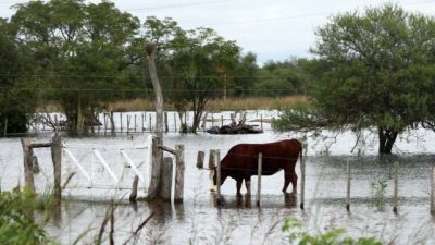 La emergencia hídrica, otro round de la pelea entre Santa Fe y Nación