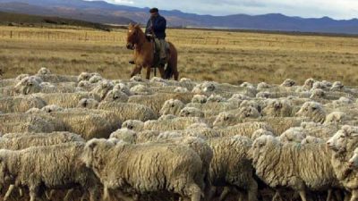 El Gobernador de Chubut lamentó «improvisación» de Nación en el tema lanero