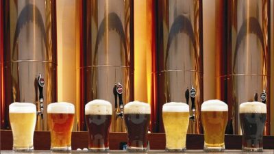 Presentan proyecto para que Mar del Plata sea «Capital de la Cerveza Artesanal»