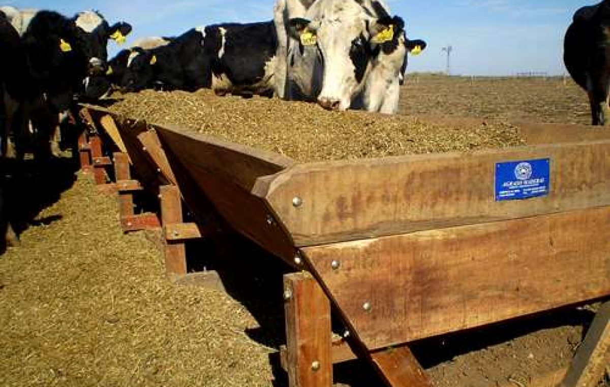 Tambos: por la quita de retenciones hay insumos que subieron un 200%