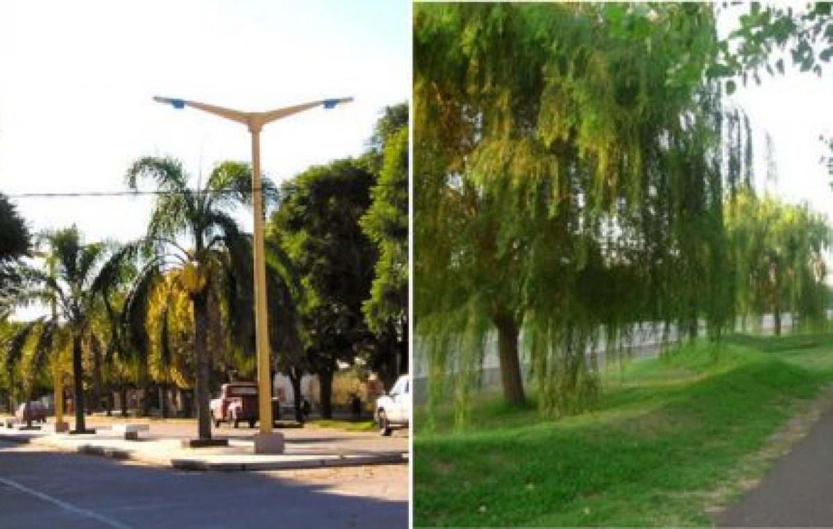 Deheza: lanzan plan de turismo rural e industrial