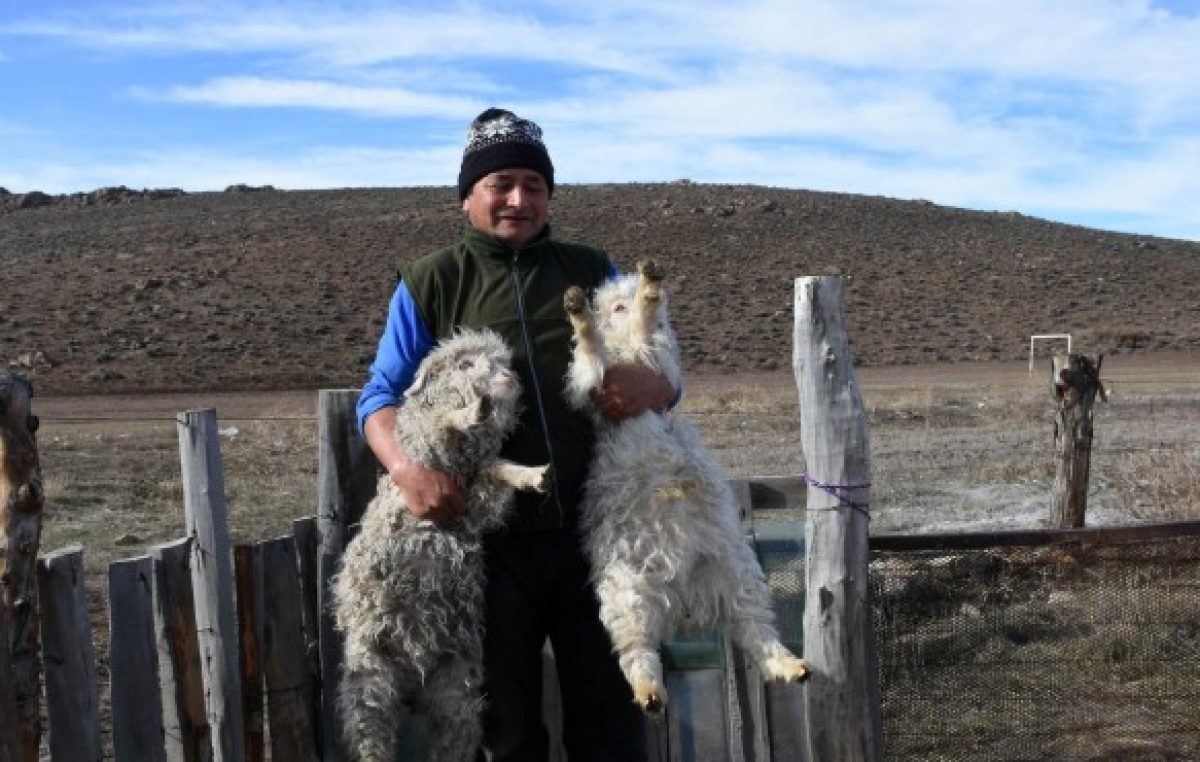 Mencué, el pueblo de crianceros que necesita médico y ambulancia
