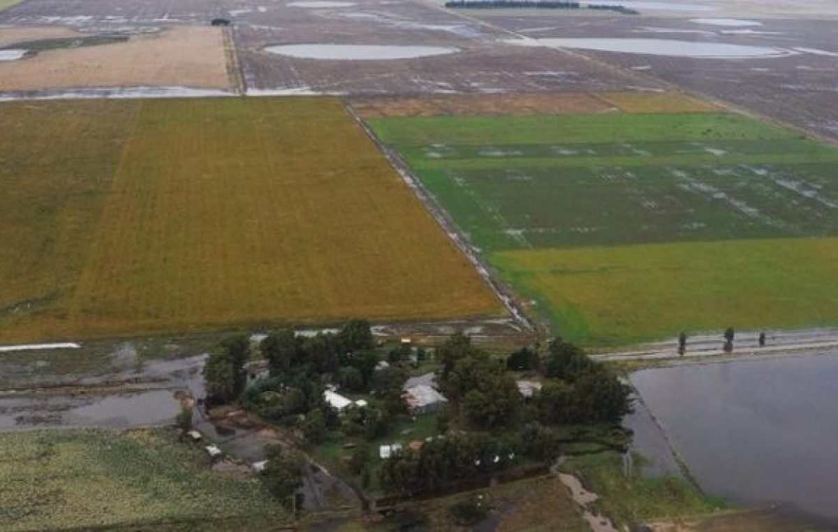 Pueblo bonaerense podría desaparecer aislado por el agua