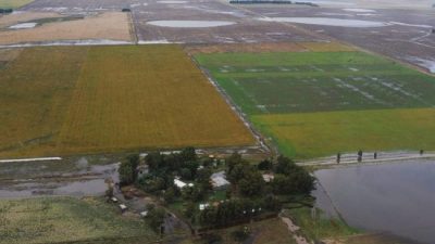 Pueblo bonaerense podría desaparecer aislado por el agua