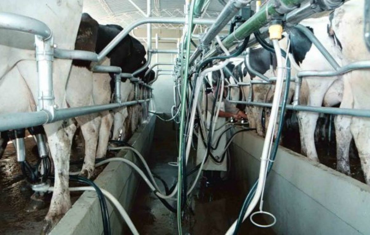 Según especialistas de la UNL, este año cerraron 500 tambos en la provincia